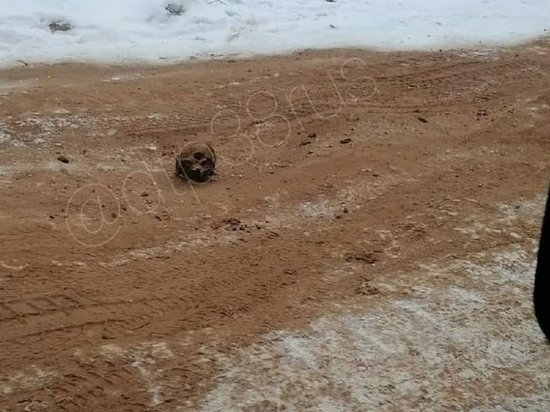 В Киренске дорогу посыпали песком с человеческими костями