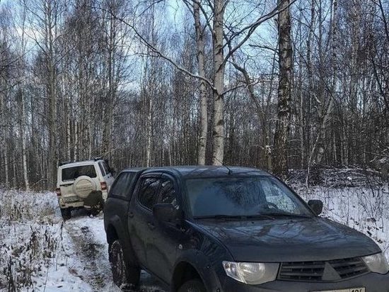 Автолюбители испортили лыжную трассу в Глазове