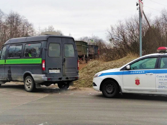 На берегу Невы нашли скелет с маникюрными ножницами и шоколадкой