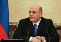 Премьер-министр Михаил Мишустин предложил провести оптимизацию системы управления уже в первом квартале 2021 года