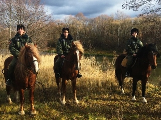 Калужские казаки обнаружили в нацпарке "черных копателей"