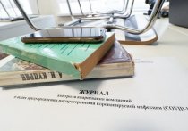 В одной из школ Нижнего Новгорода после введения дистанционного обучения для учеников 6-11 классов разгорелся скандал
