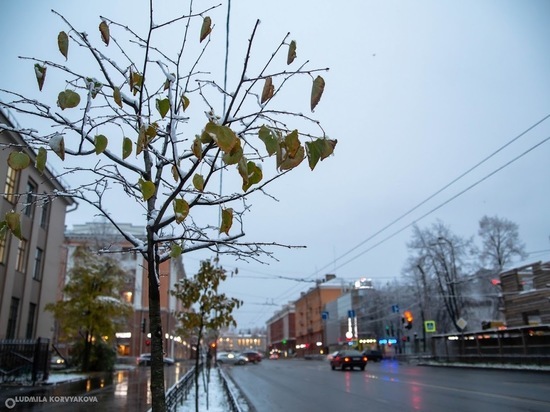 16 ноября: главные новости дня по версии «МК в Карелии»
