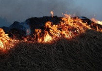 На КСК и в поселке ГРЭС в Чите за один день зафиксировано шесть случаев возгораний сухой травы и бытового мусора