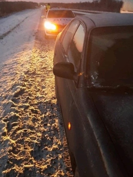 На трассе под Челябинском сотрудники ГИБДД спасли замерзшего водителя