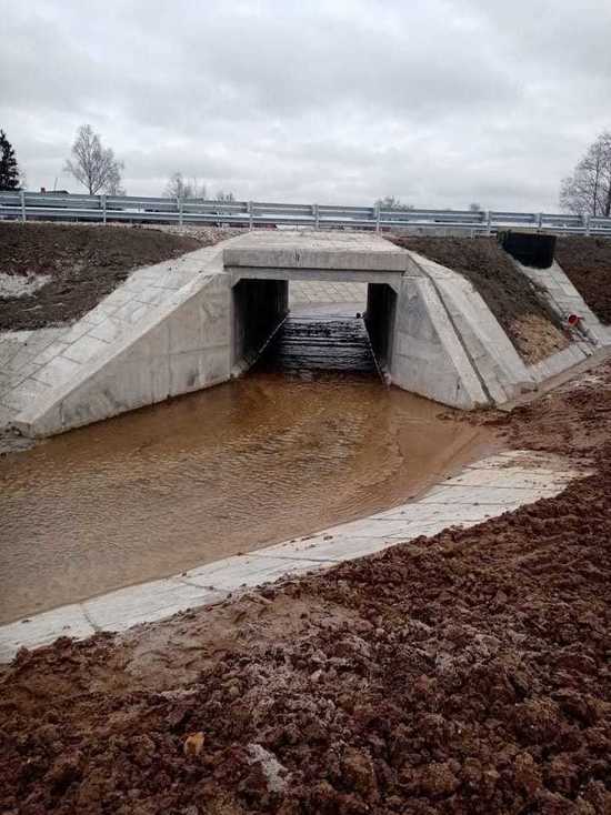 В Ярославском районе области появился новый мост