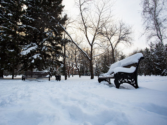 Циклон принес в Новосибирск затяжной снегопад: какая погода будет 18 ноября