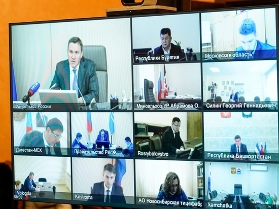 Глава Ставрополья принял участие в онлайн-заседании с главой минсельхоза РФ