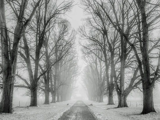 В Луганске легковой автомобиль врезался в маршрутное такси