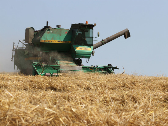 Потенциал республики позволяет увеличить сбор зерна до пяти миллионов тонн