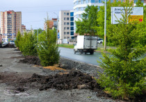В столице Южного Урала с начала года высажено около 13,5 тысячи деревьев