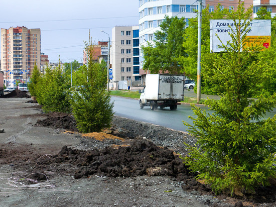 В Челябинске завершается сезон озеленения