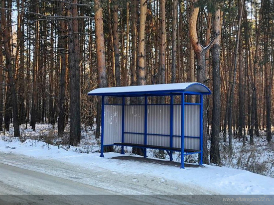 Более 20 новых остановок установили в пригороде Барнаула