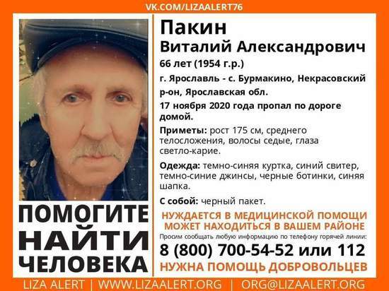 В Ярославской области ищут 66-летнего пенсионера