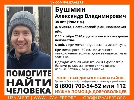 В Пестяковском районе пропал 38-летний мужчина