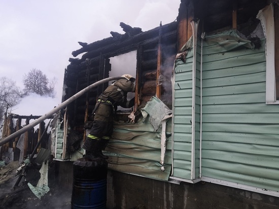 В Калужской области на пожаре погибла 85-летняя бабушка