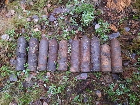 В Плесецком районе в лесу обнаружены боевые снаряды