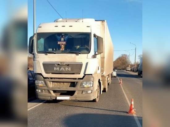 В Рязанской области грузовик сбил школьника