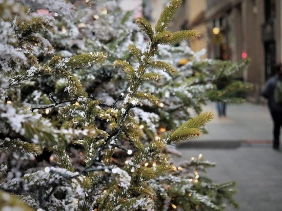 В Уфе установят три главные и 16 районных новогодний елок