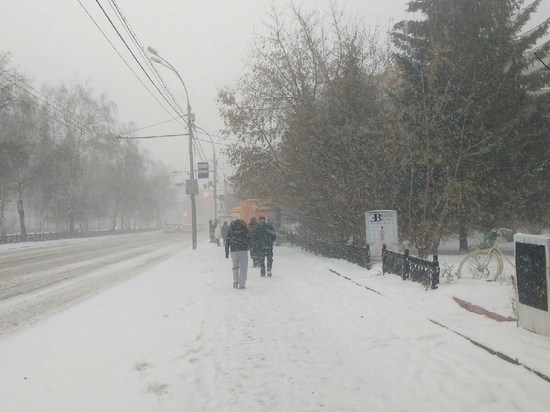 Снег, тучи и небольшое потепление: какая погода будет в Новосибирске 20 ноября