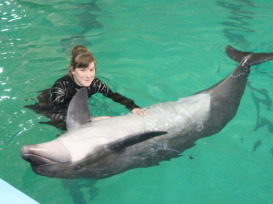 В Петербурге назвали дату последнего представления с дельфинами