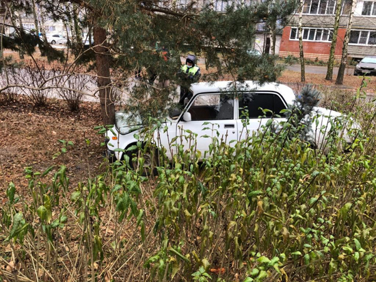 Под Рязанью «семерка» врезалась в дерево, погиб пожилой водитель