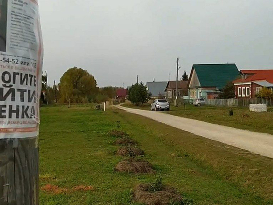 Во Владимирской области найден пропавший в конце сентября 7-летний мальчик