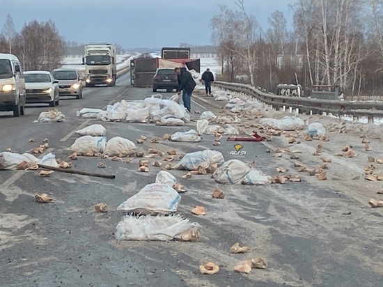 Свиные уши разлетелись по трассе под Новосибирском после ДТП