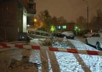 Отец убитой на Можайском шоссе 14-летней девочки является высокопоставленным чиновником и сейчас находится в Челябинске в рабочей поездке