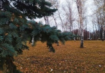 Луганск 21 ноября продолжит мерзнуть при температуре от минус 5 до минус 3 градусов