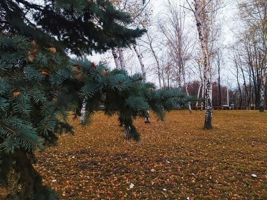 Погода в Луганске 21 ноября: снова мороз