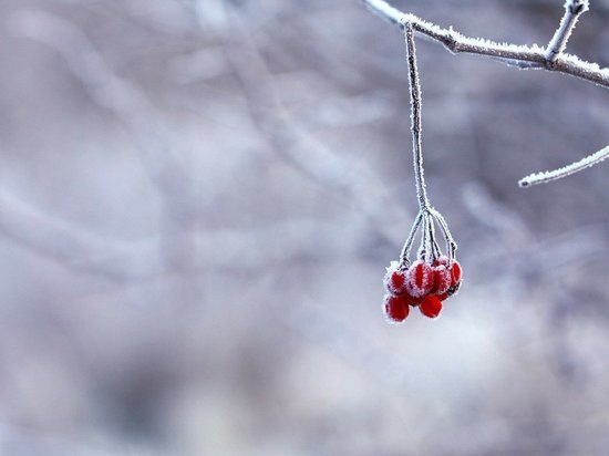 Усиление ветра до 22 м/с и снег ожидаются в Забайкалье
