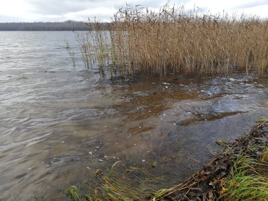 Со дна водоема в Смоленском районе водолазы подняли тело мужчины