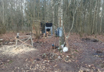 Семья белорусских отшельников, два с половиной месяца скрывавшаяся в лесу от коронавируса и «чипирования», благополучно возвращена домой