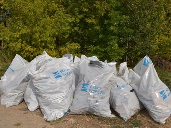Волонтеры очистили 118 км прибрежной территории Марий Эл
