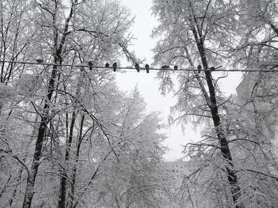Из-за налипания снега в Краснодарском крае объявлено штормовое предупреждение