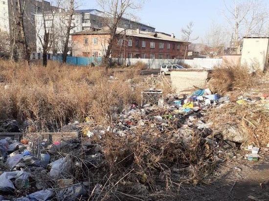 Более 35 тыс куб м мусора вывезли с незаконных свалок в Чите за год