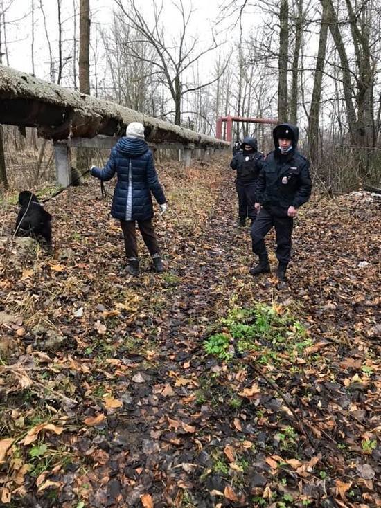 В Ярославле полиция и волонтеры спасли лабрадора