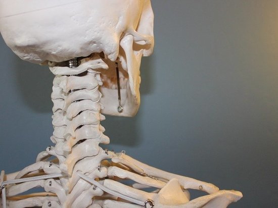 Сторонники какого питания имеют повышенный риск перелома костей