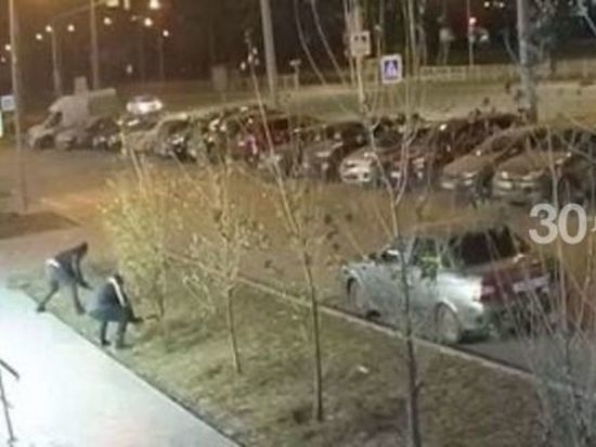 Неизвестные срубили недавно посаженные деревья у ЖК в Казани