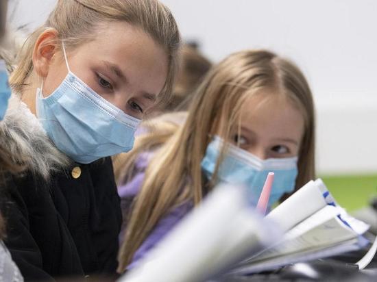 Педиатры Германии высчитали риск заражения коронавирусом в школах