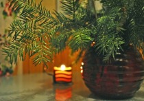 Хвойные деревья, которые россияне традиционно устанавливают дома на Новый год, помогают бороться с коронавирусом