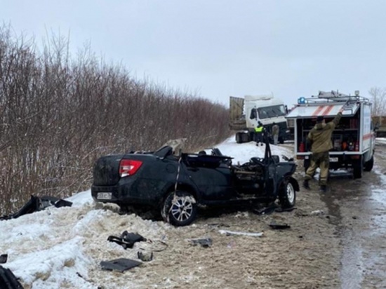Пассажир грузовика из Ростовской области пострадал в ДТП на трассе «Воронеж – Луганск»