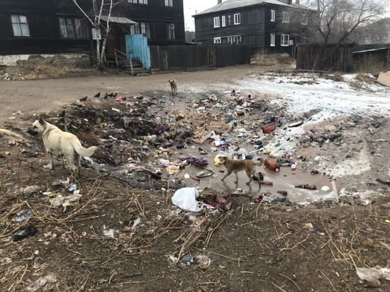 Власти города: Читинцы продолжают сваливать мусор на убранные участки
