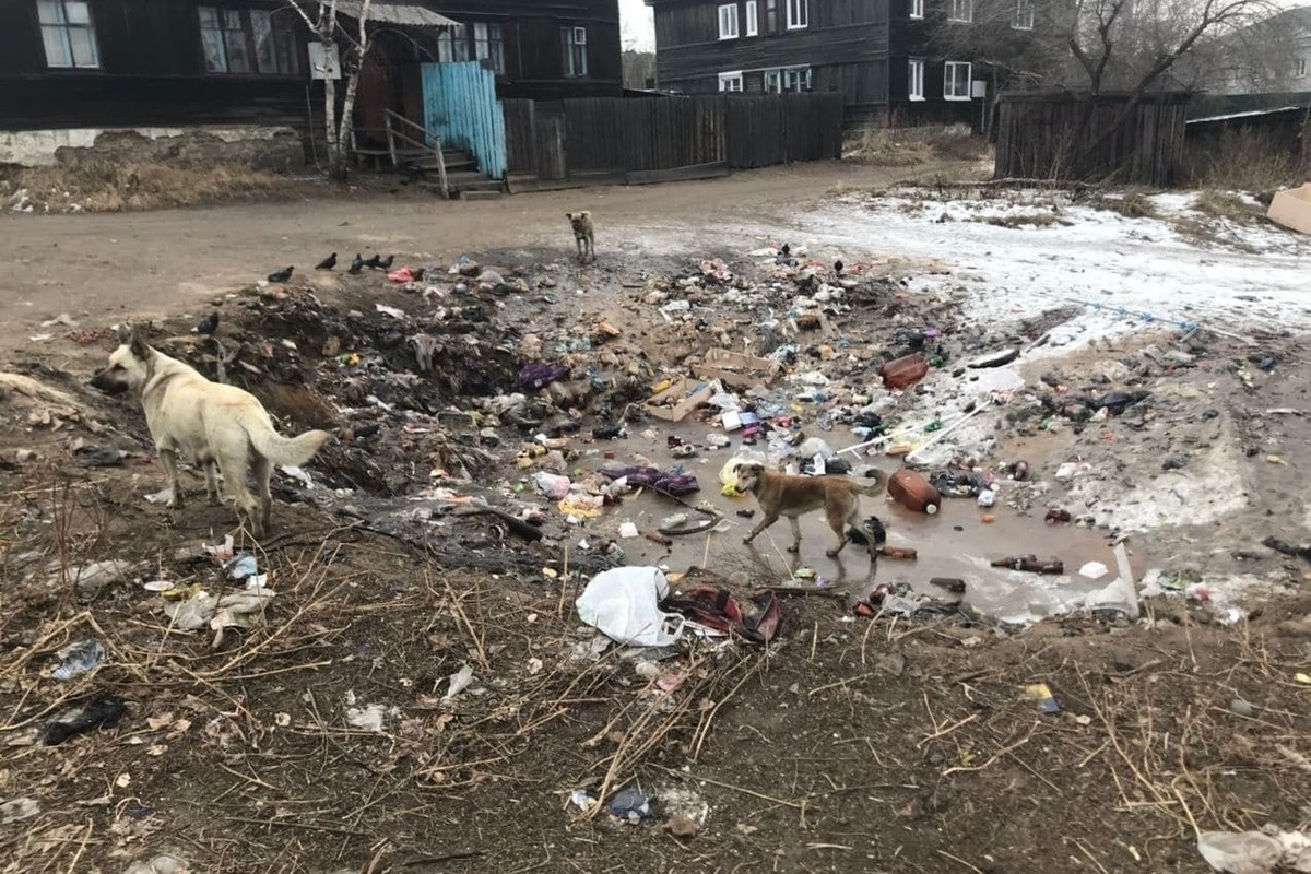 Власти города: Читинцы продолжают сваливать мусор на убранные участки - МК  Чита