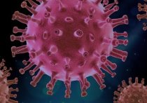 Американские исследователи предположили, что коронавирус может манипулировать поведением инфицированных людей, иногда даже до того, как у них проявляются симптомы, чтобы они стали более общительными
