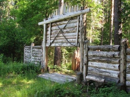 Калужский "Засечный лес" признан памятником природы