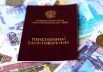 Российский Центробанк разработал систему гарантирования прав участников по добровольным пенсионным программам (СГПУ), которая призвана защитить пенсии россиян при банкротствах НПФ