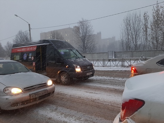 В Рязани накажут водителя маршрутки за высадку пассажирки посреди дороги
