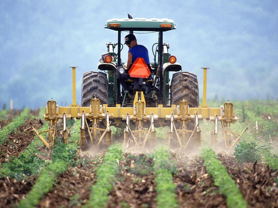 Аграрии ЛНР с начала года приобрели 92 единицы сельхозтехники